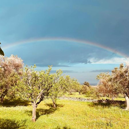 La Perla Di Torre Guaceto Villa Serranova ภายนอก รูปภาพ