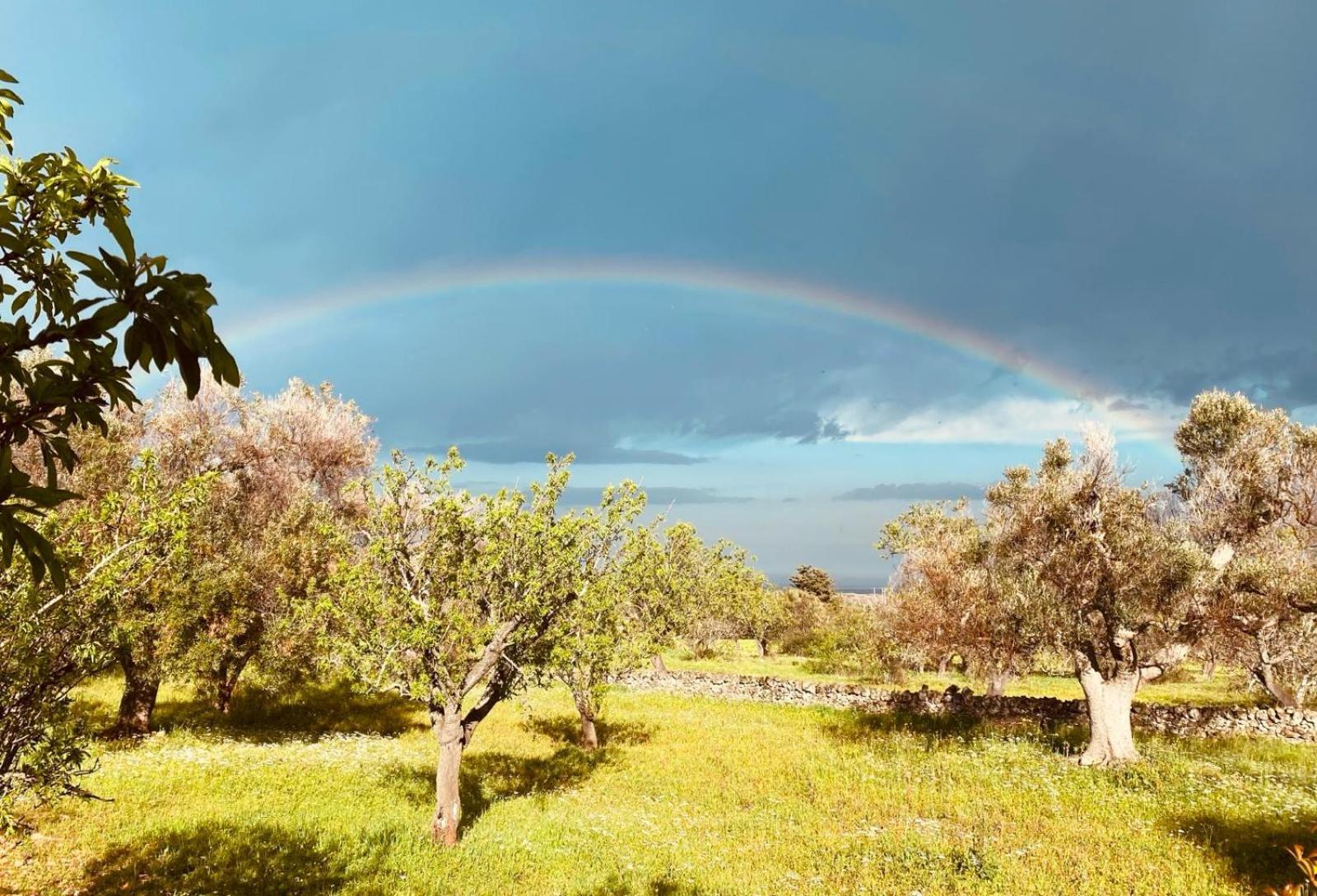 La Perla Di Torre Guaceto Villa Serranova ภายนอก รูปภาพ